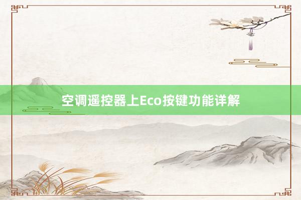 空调遥控器上Eco按键功能详解